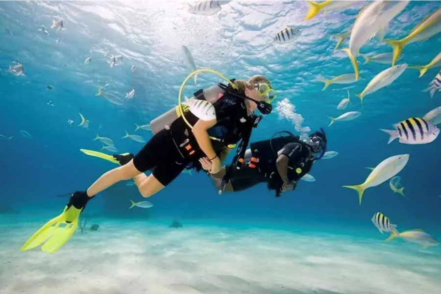 보라카이 체험 다이빙 투어 & 마사지 패키지