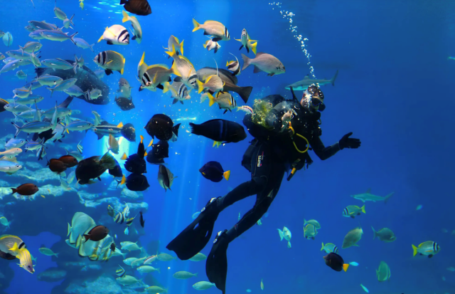 보라카이 체험 다이빙 투어 & 마사지 패키지