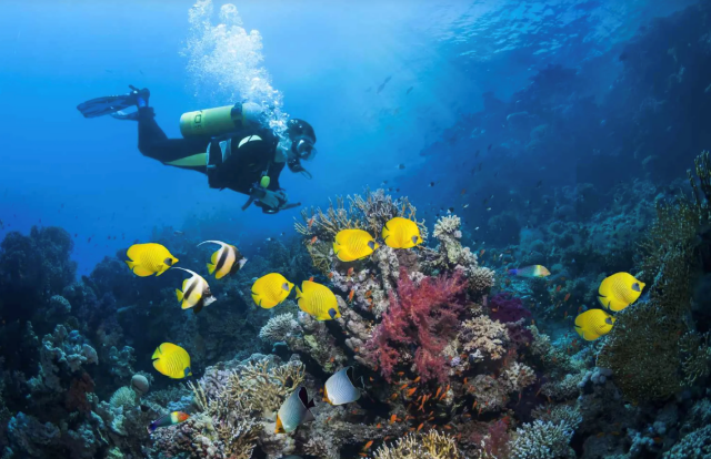 activity_detail_image