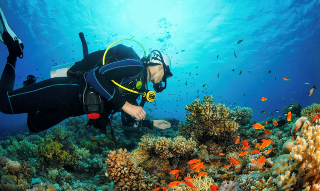 activity_detail_image