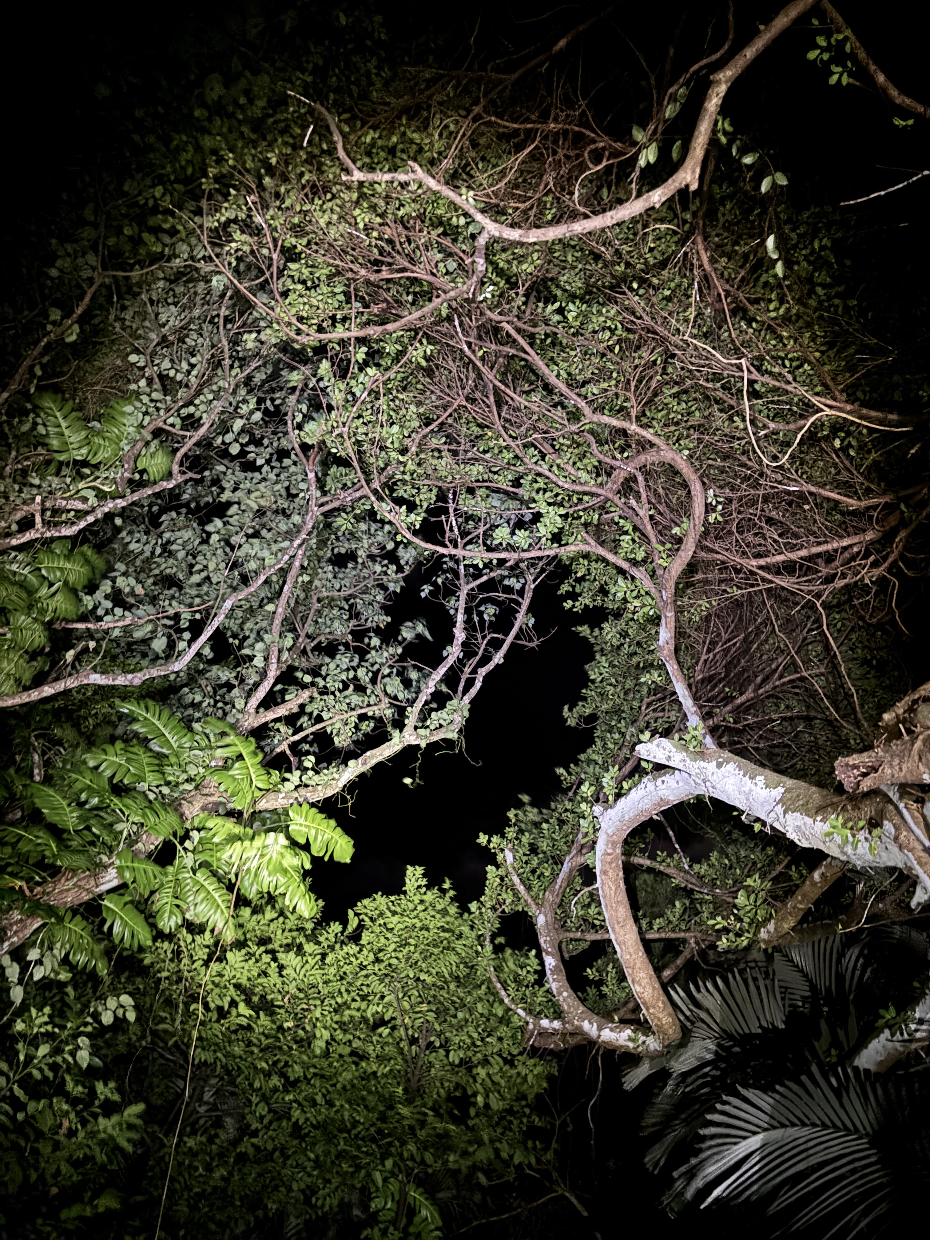 activity_detail_image