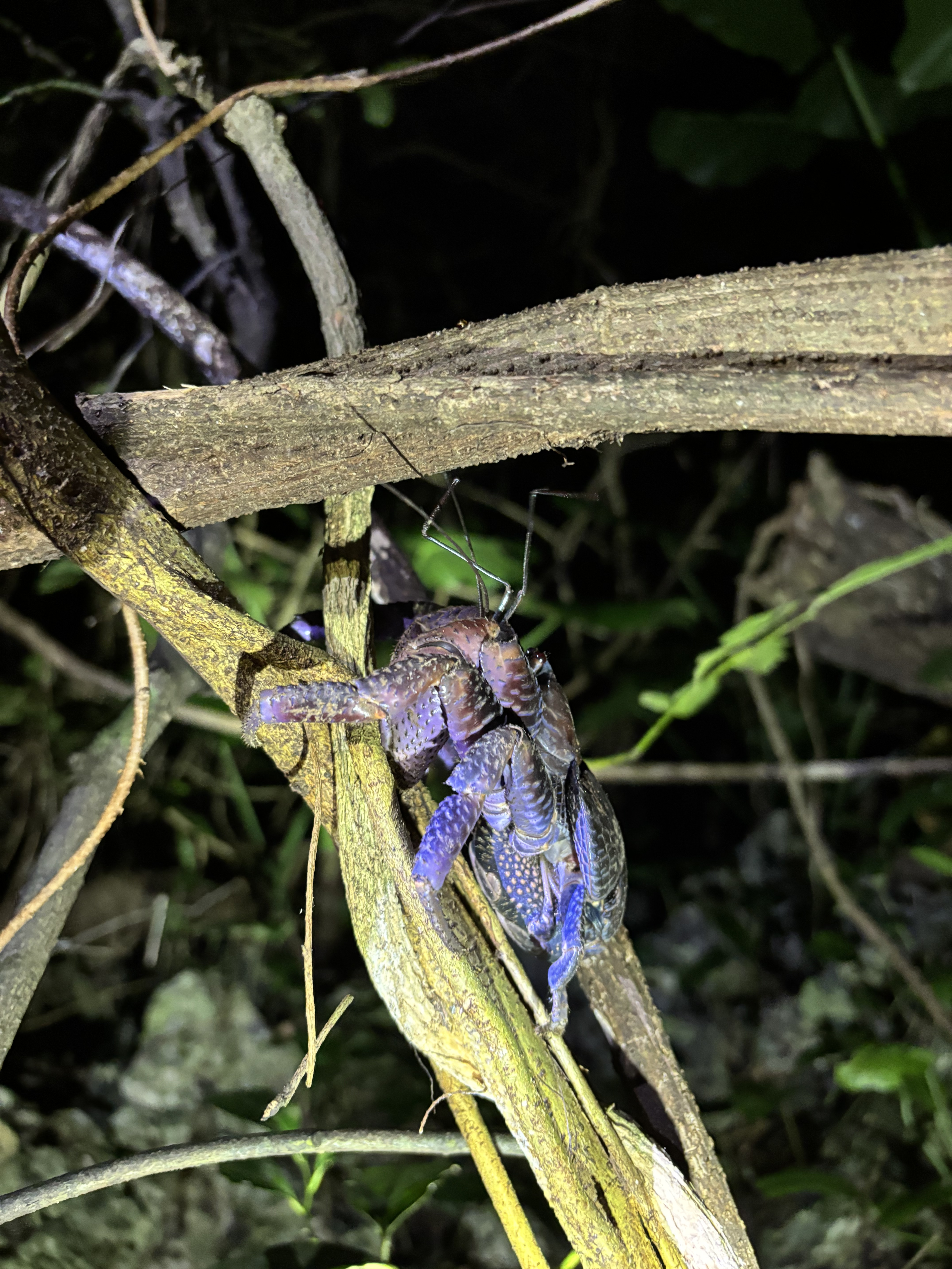 activity_detail_image