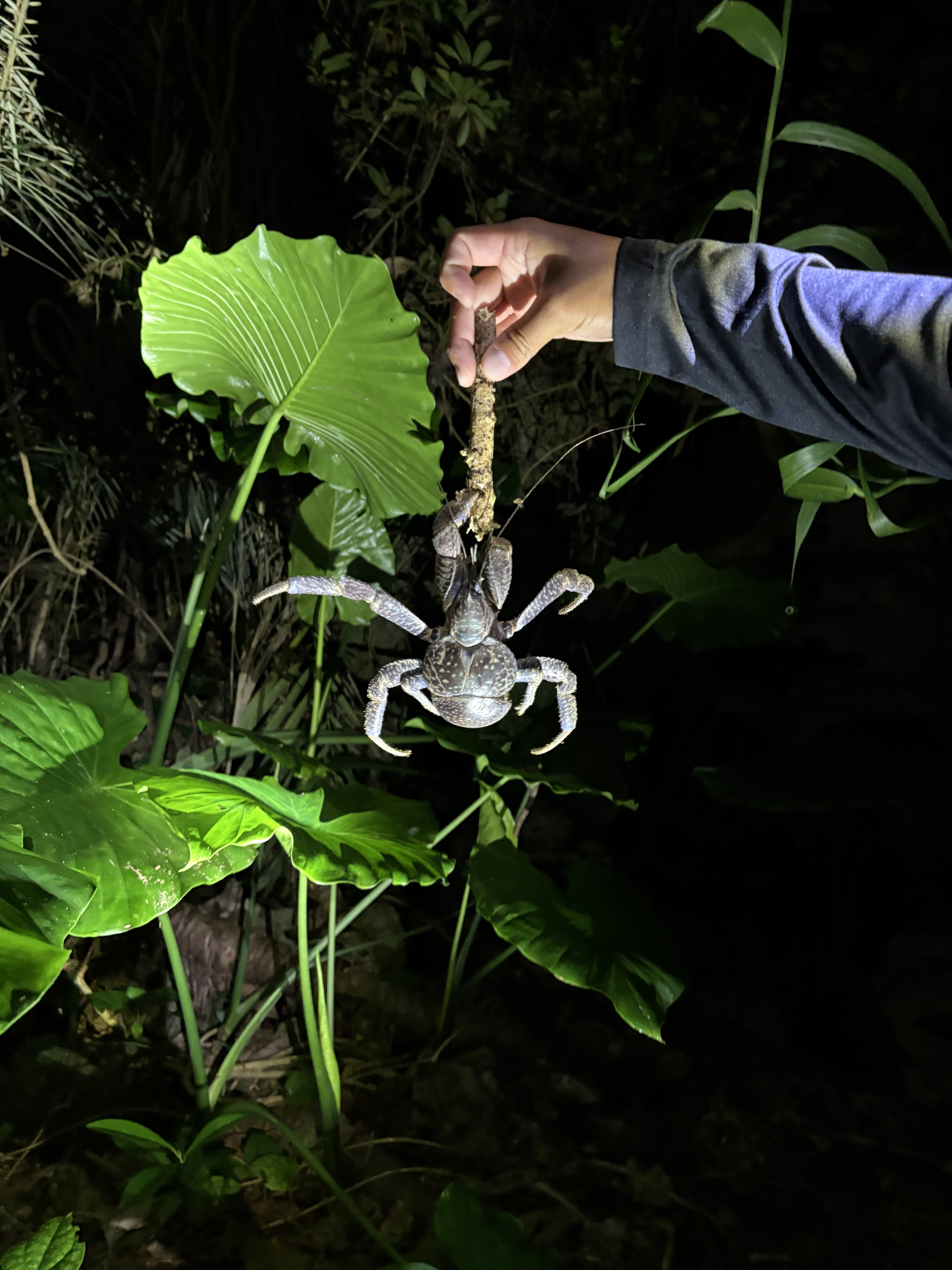 activity_detail_image