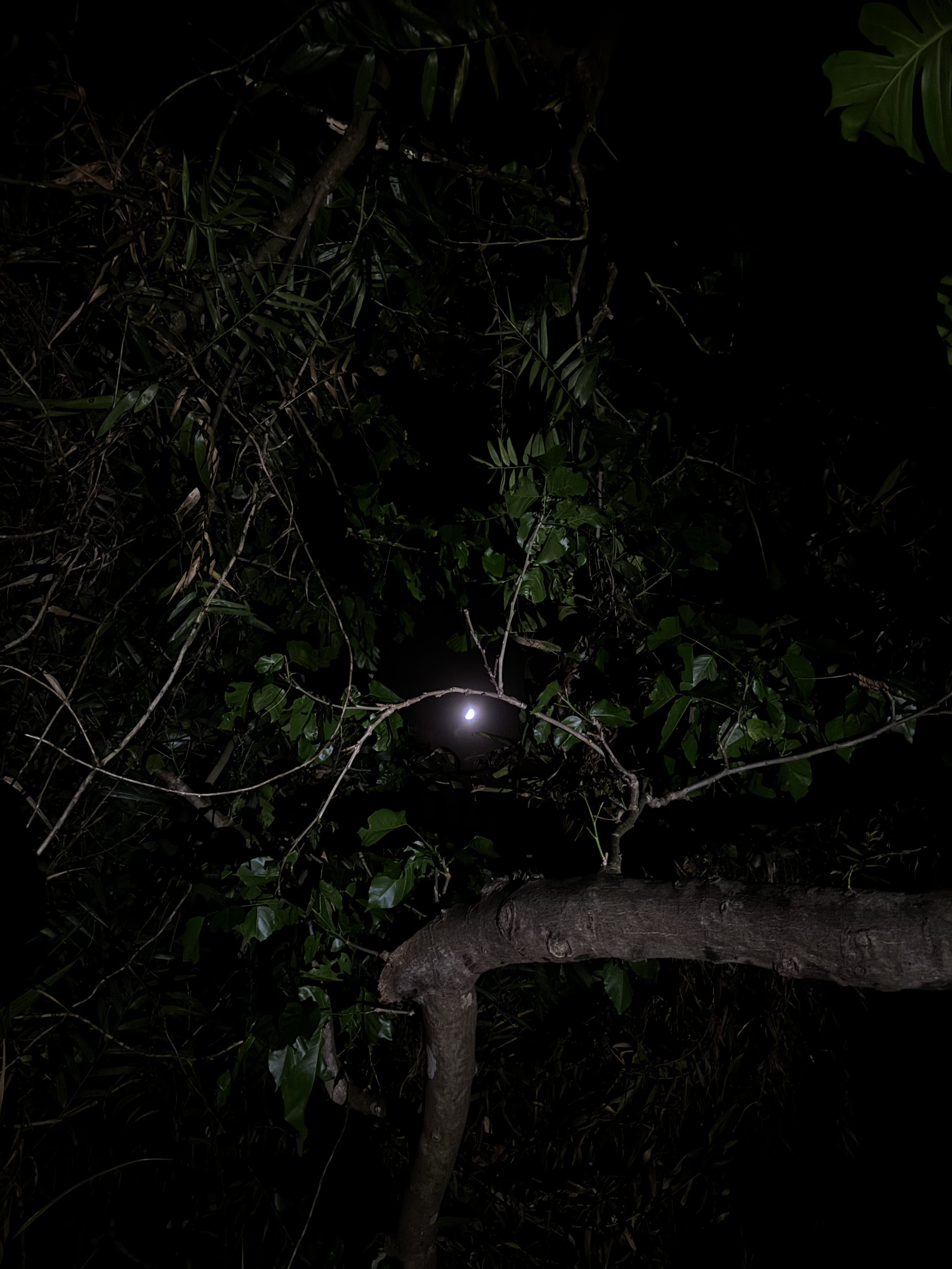 activity_detail_image