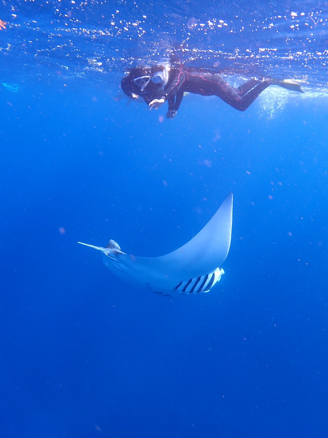 activity_detail_image