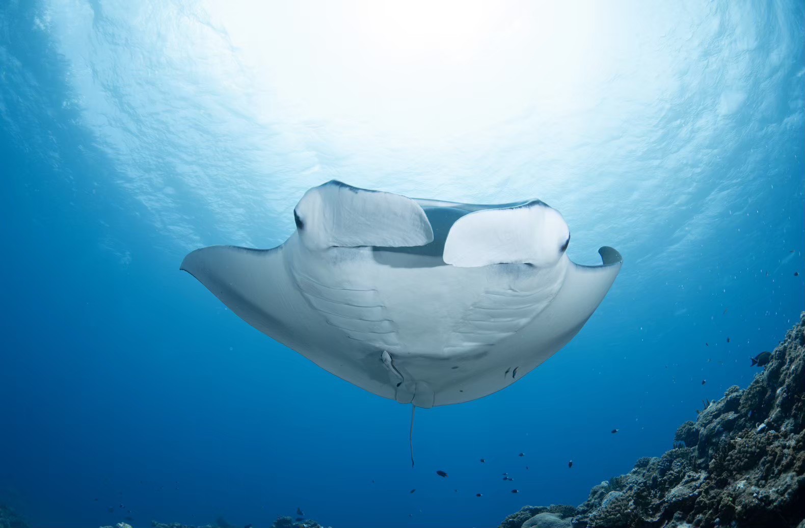 activity_detail_image