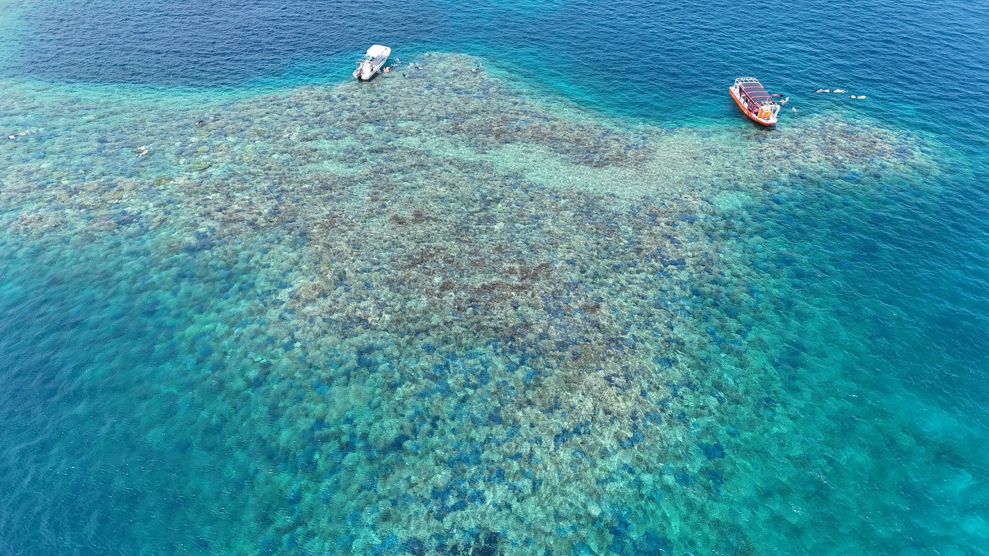 activity_detail_image