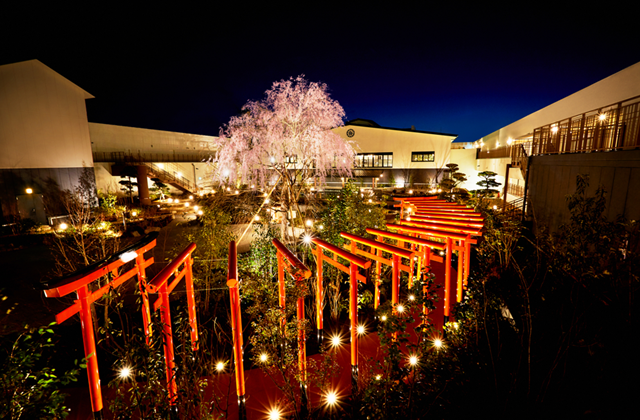 activity_detail_image