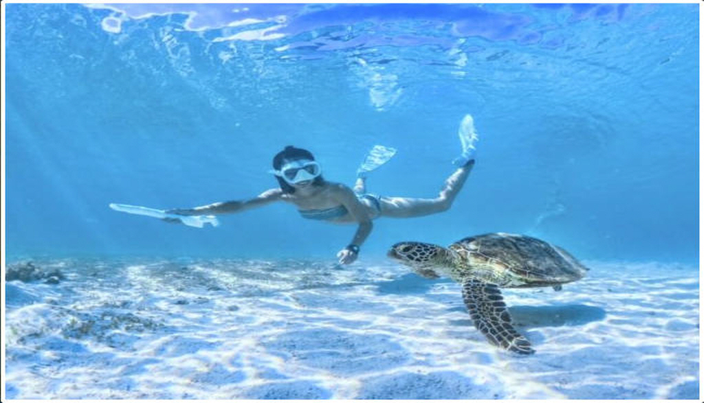 activity_detail_image