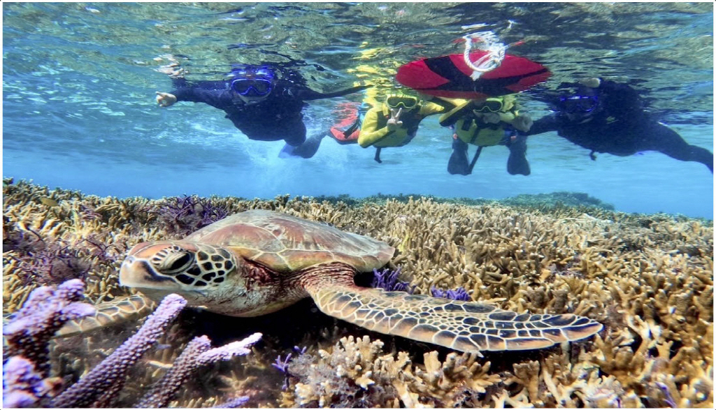 activity_detail_image