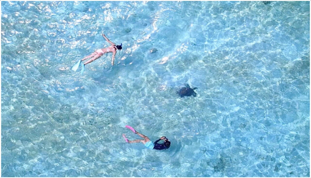 activity_detail_image