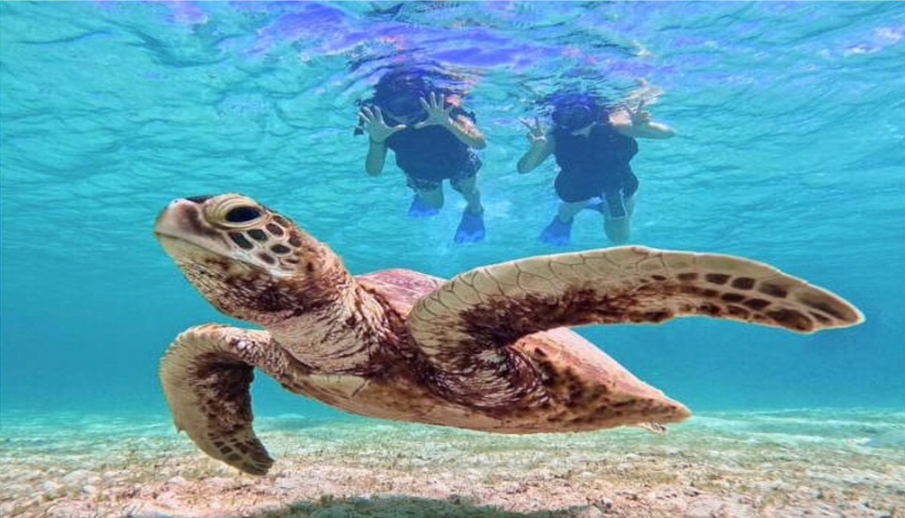 activity_detail_image