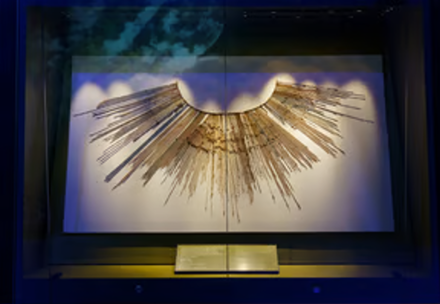 activity_detail_image