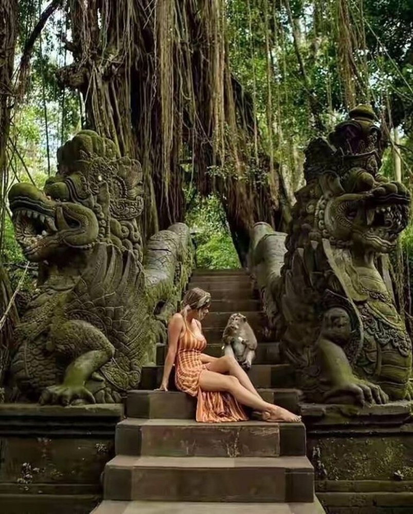 Bali Ubud Monkey Forest, Tirta Empul, Waterfall, & Swing Private Tour