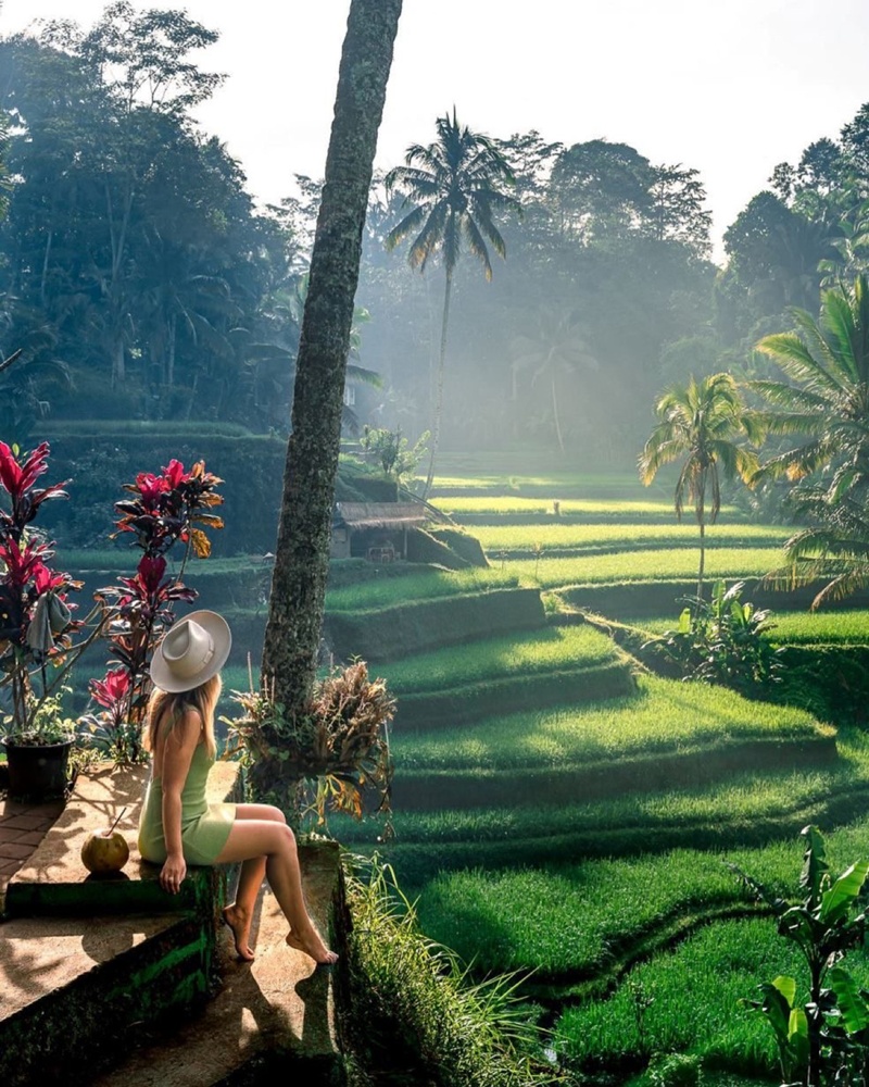 Bali Ubud Monkey Forest, Tirta Empul, Waterfall, & Swing Private Tour