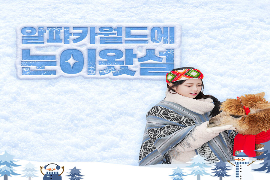 강원 홍천 알파카월드 입장권