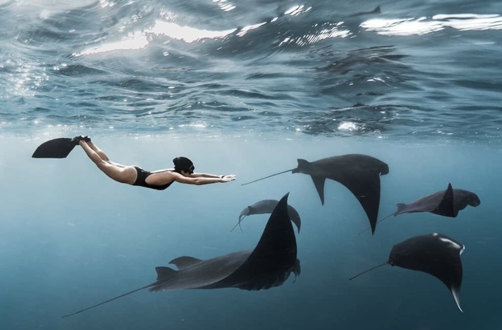 Nusa Penida Island: Manta Point Snorkeling & West coast Tour