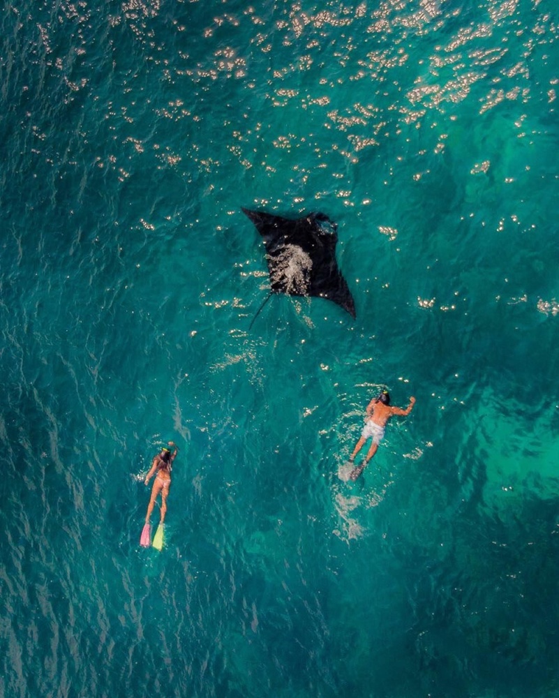 Nusa Penida Island: Manta Point Snorkeling & West coast Tour