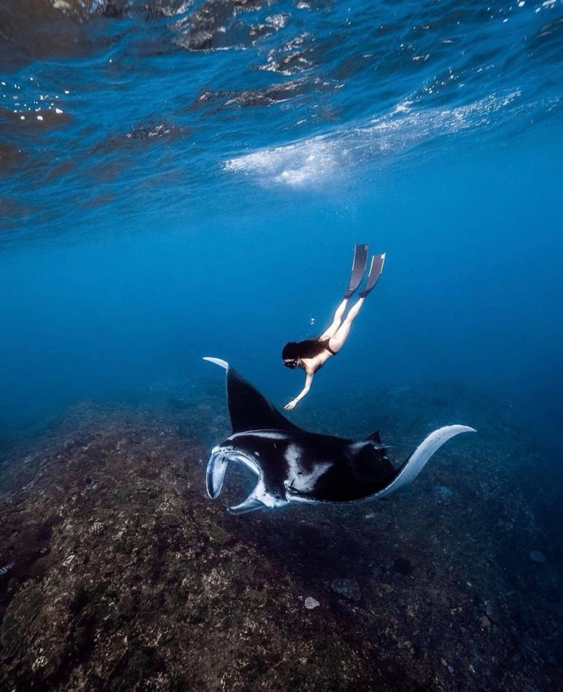 Nusa Penida Island: Manta Point Snorkeling & West coast Tour