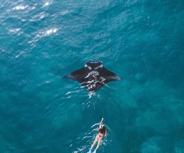 activity_detail_image