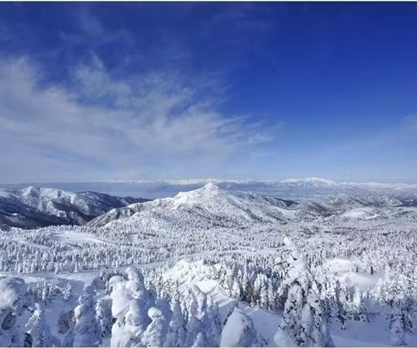 activity_detail_image