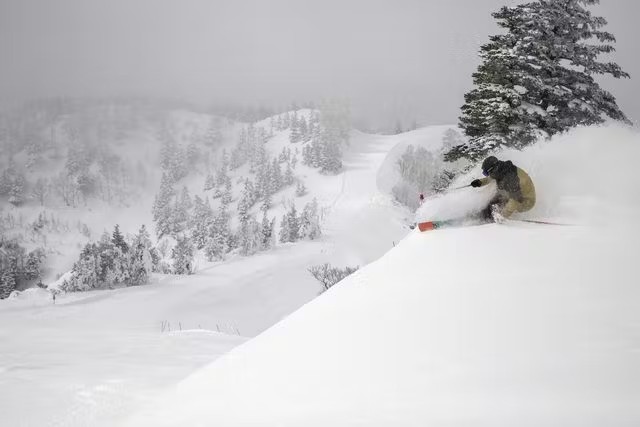 activity_detail_image