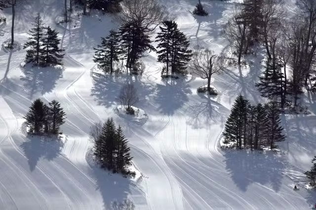 activity_detail_image