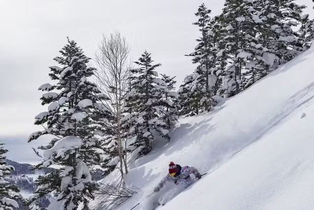 activity_detail_image