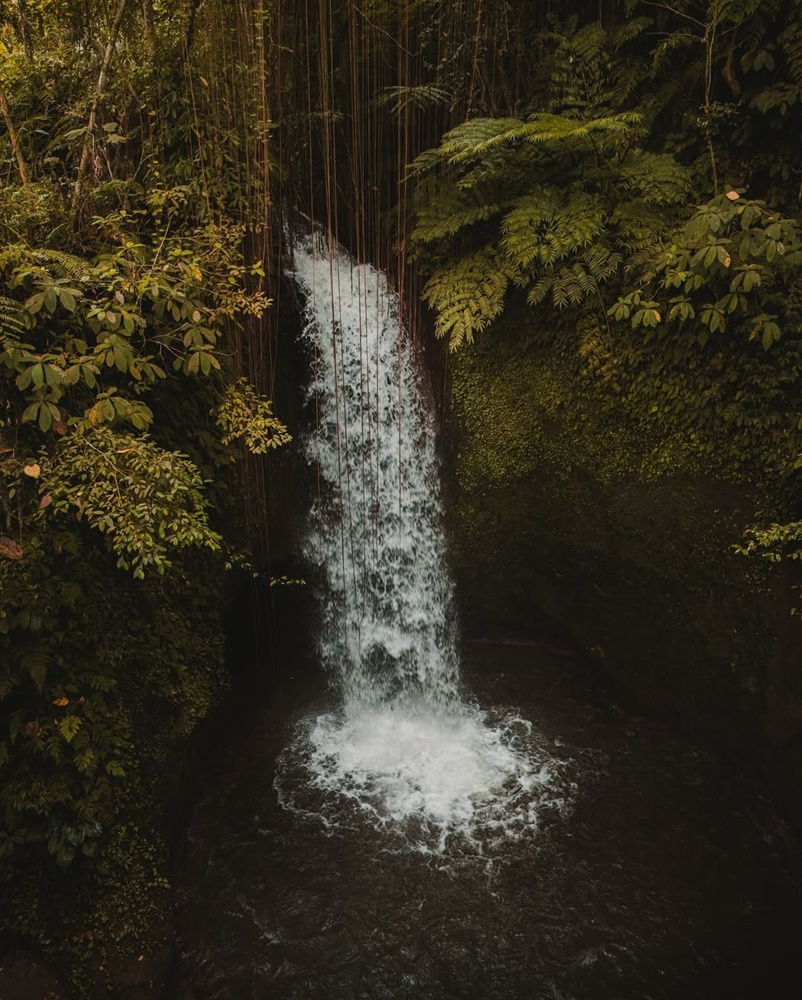 Bali: Ecstatic Firefly & Swing Private Tour (Includes Rice Terraces and Waterfalls)