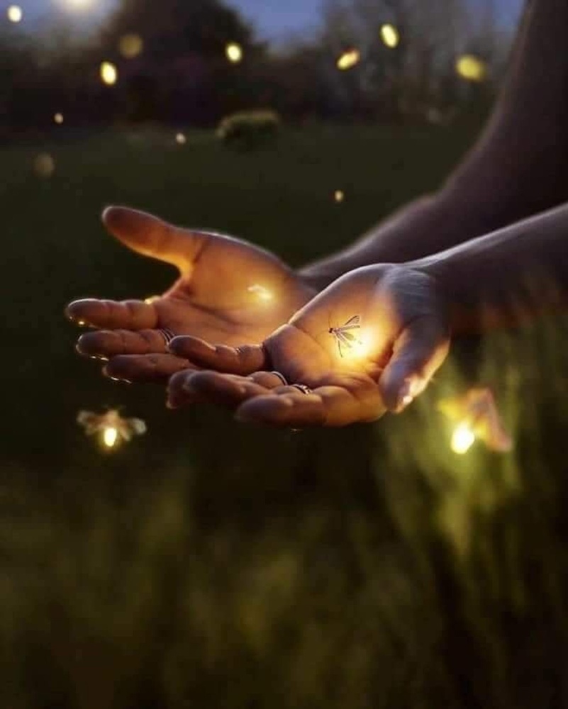 activity_detail_image