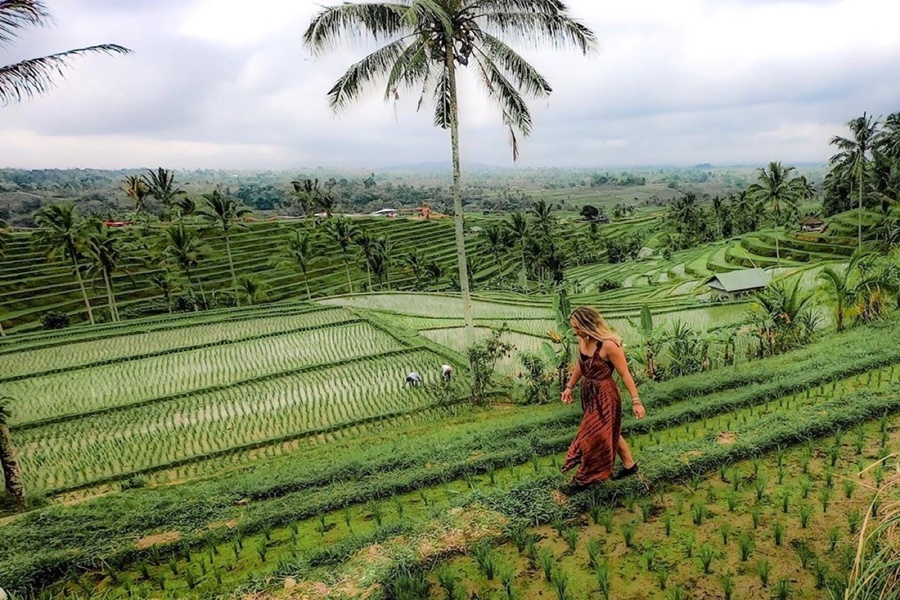 Bali: Ecstatic Firefly & Swing Private Tour (Includes Rice Terraces and Waterfalls)