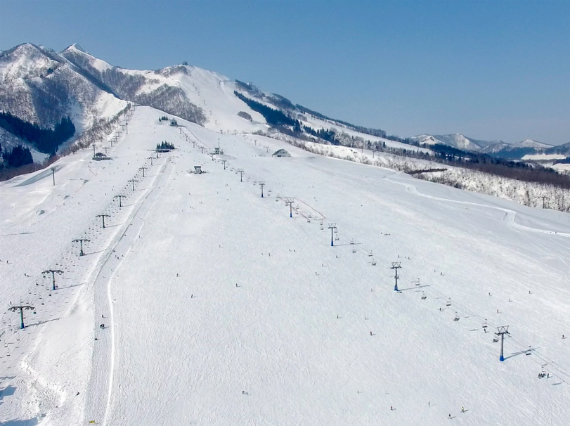 activity_detail_image