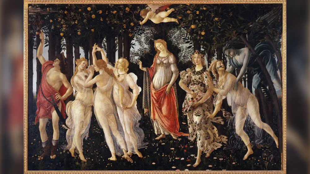 activity_detail_image