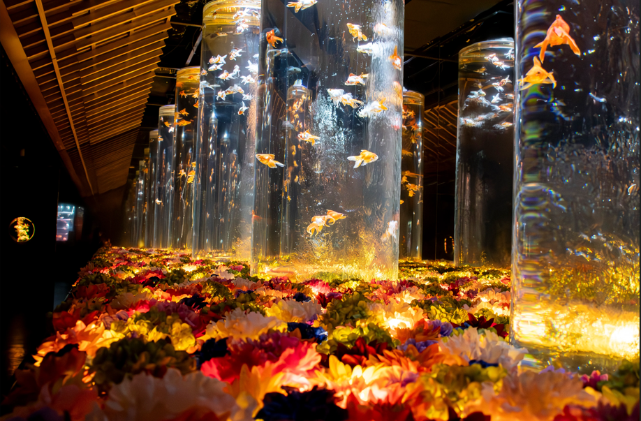 activity_detail_image