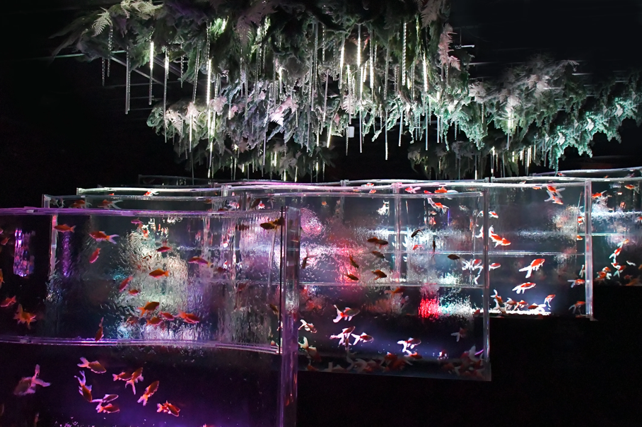 activity_detail_image