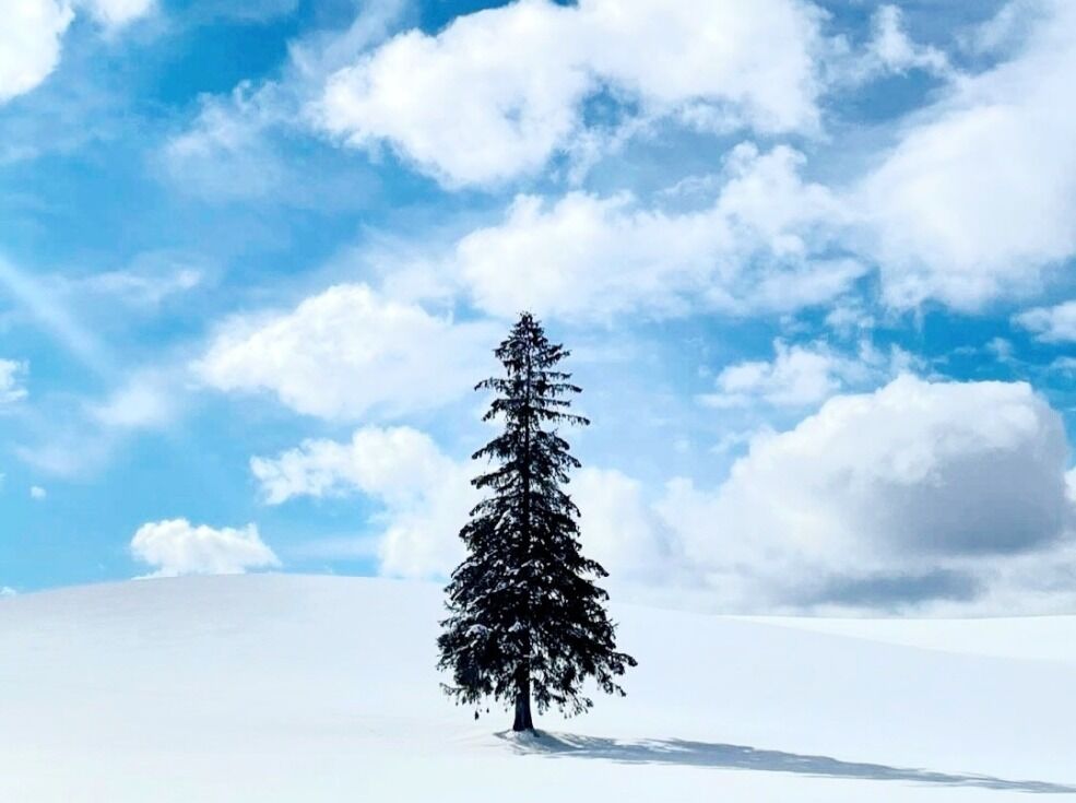 activity_detail_image