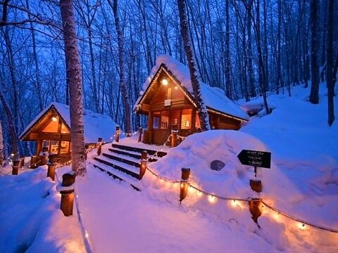 삿포로 비에이 프라이빗 단독 차량 일일투어