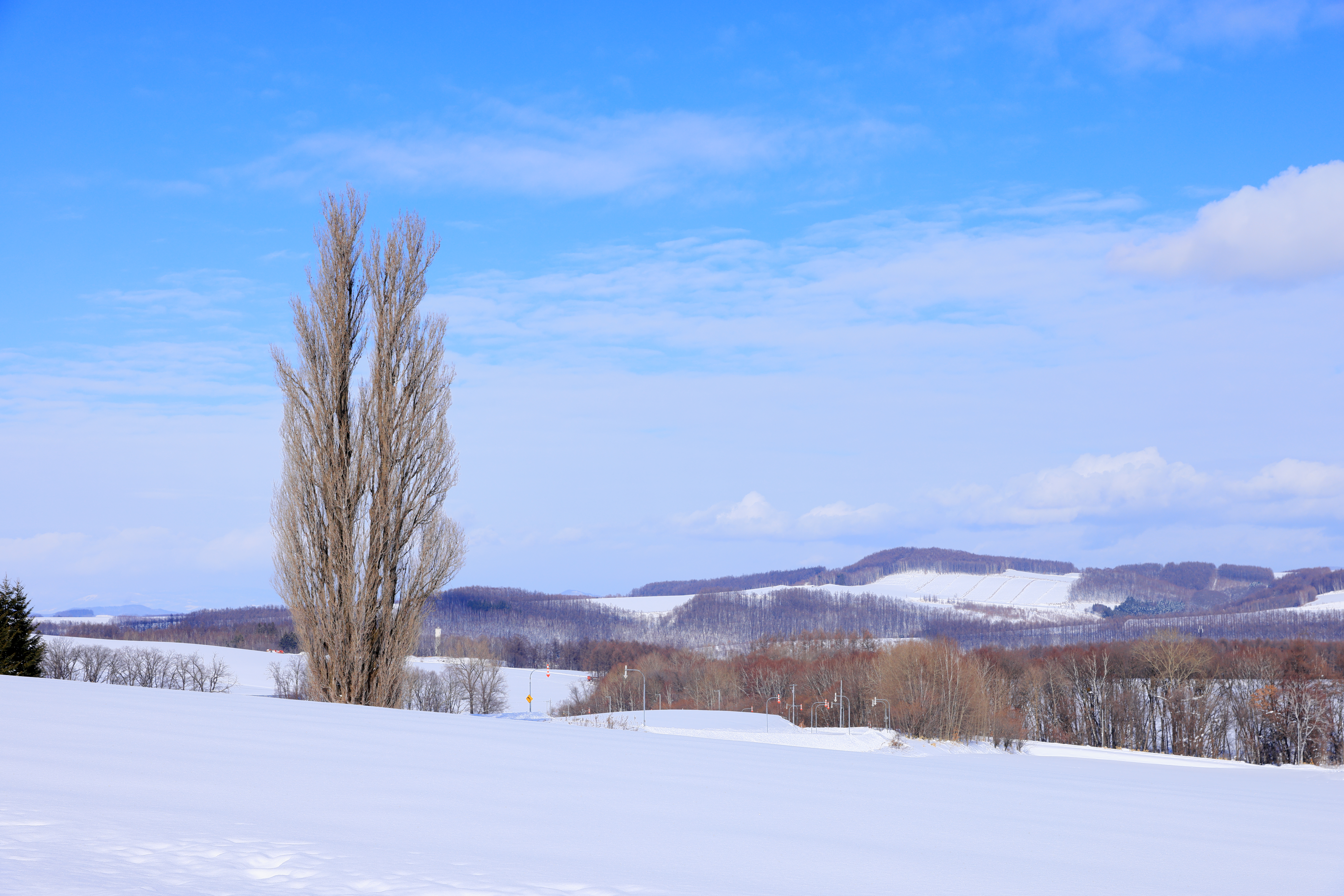 activity_detail_image