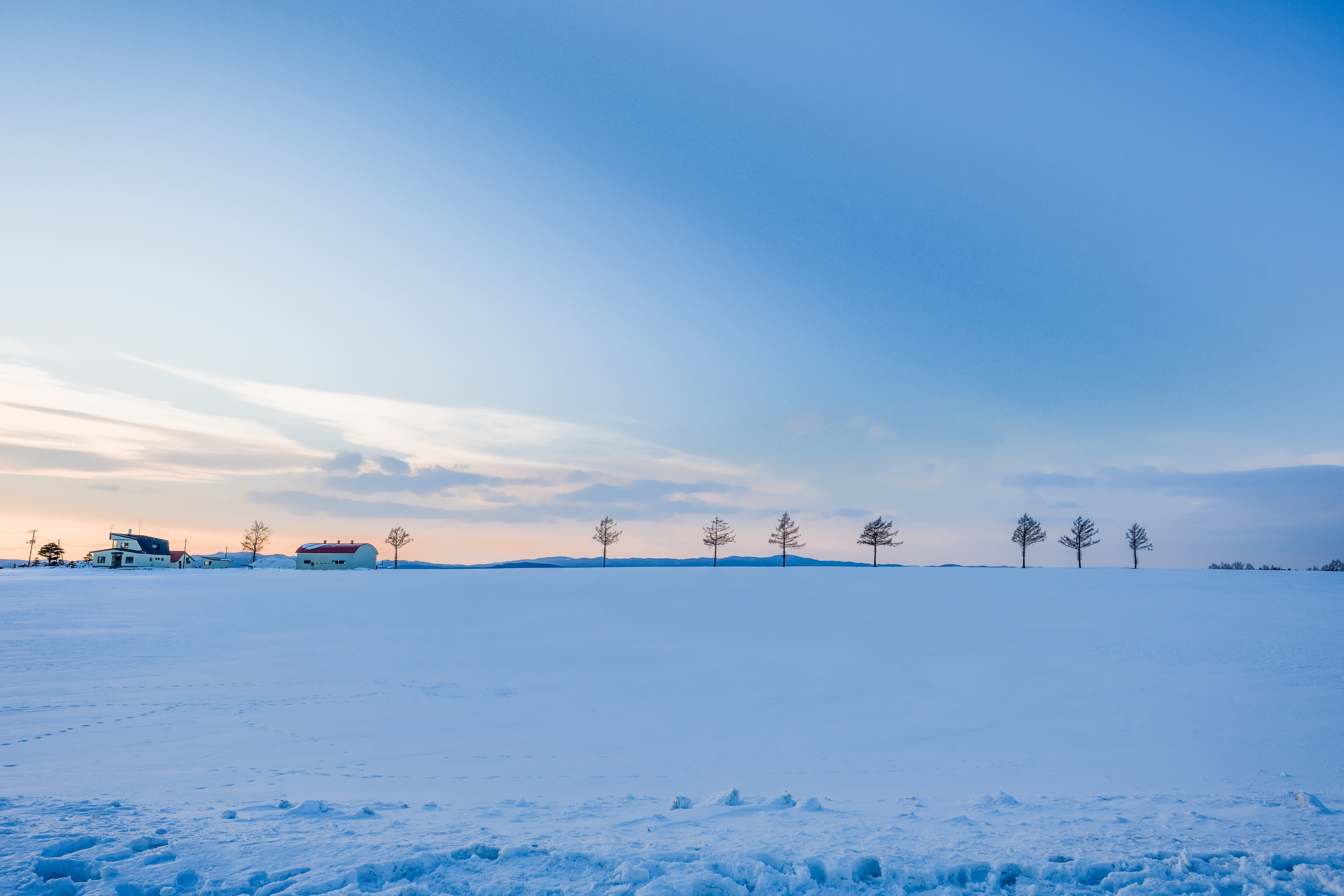 activity_detail_image