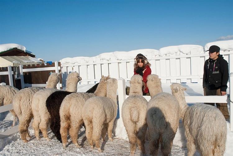 activity_detail_image