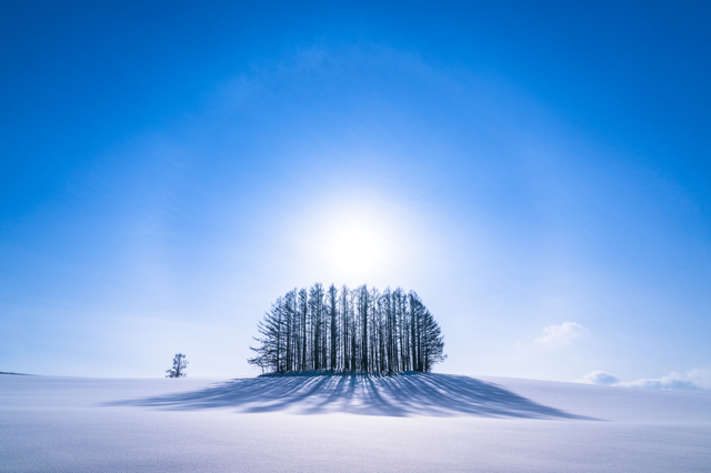 activity_detail_image