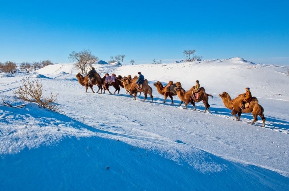 activity_detail_image