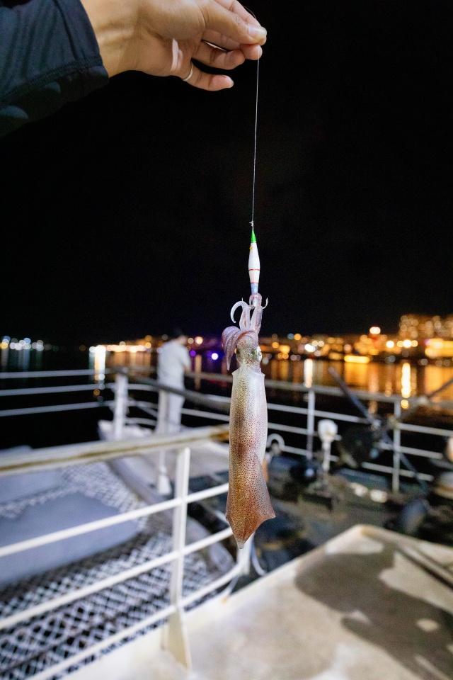 [피크타임] 푸꾸옥 썸머나잇 크루즈 투어