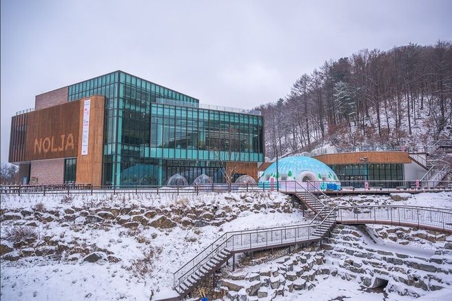 경기 동두천 체험형 숲 테마파크 놀자숲 이용권