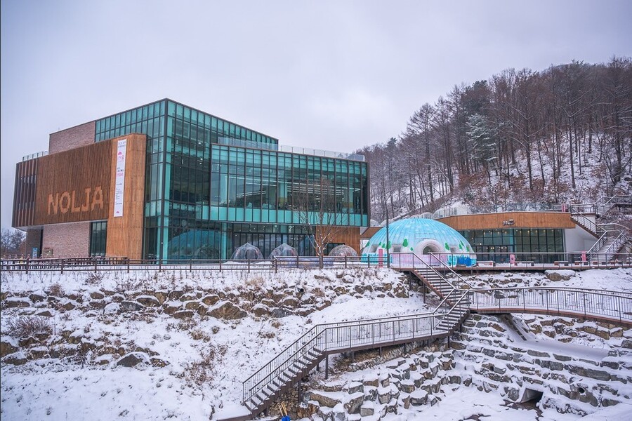 경기 동두천 체험형 숲 테마파크 놀자숲 이용권