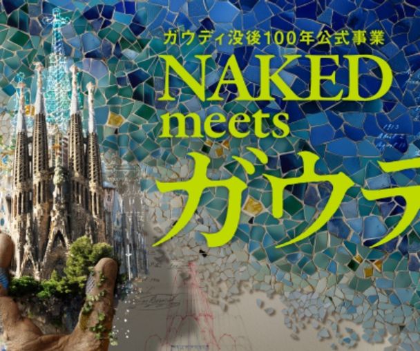 activity_detail_image