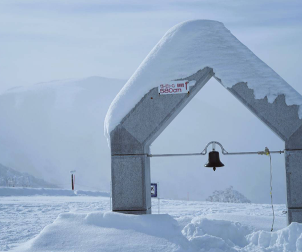 activity_detail_image