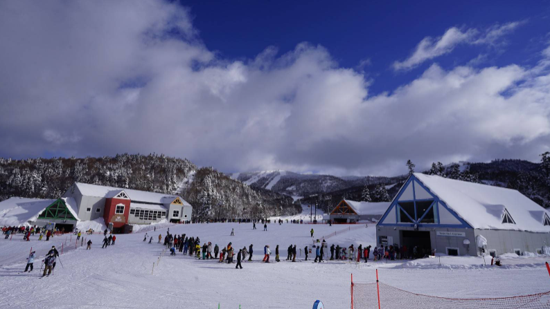 activity_detail_image