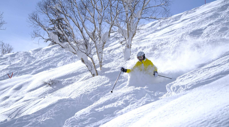 activity_detail_image