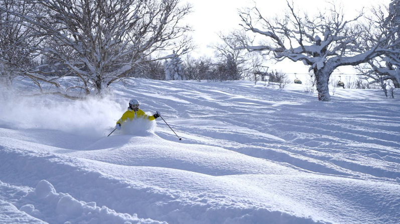 activity_detail_image